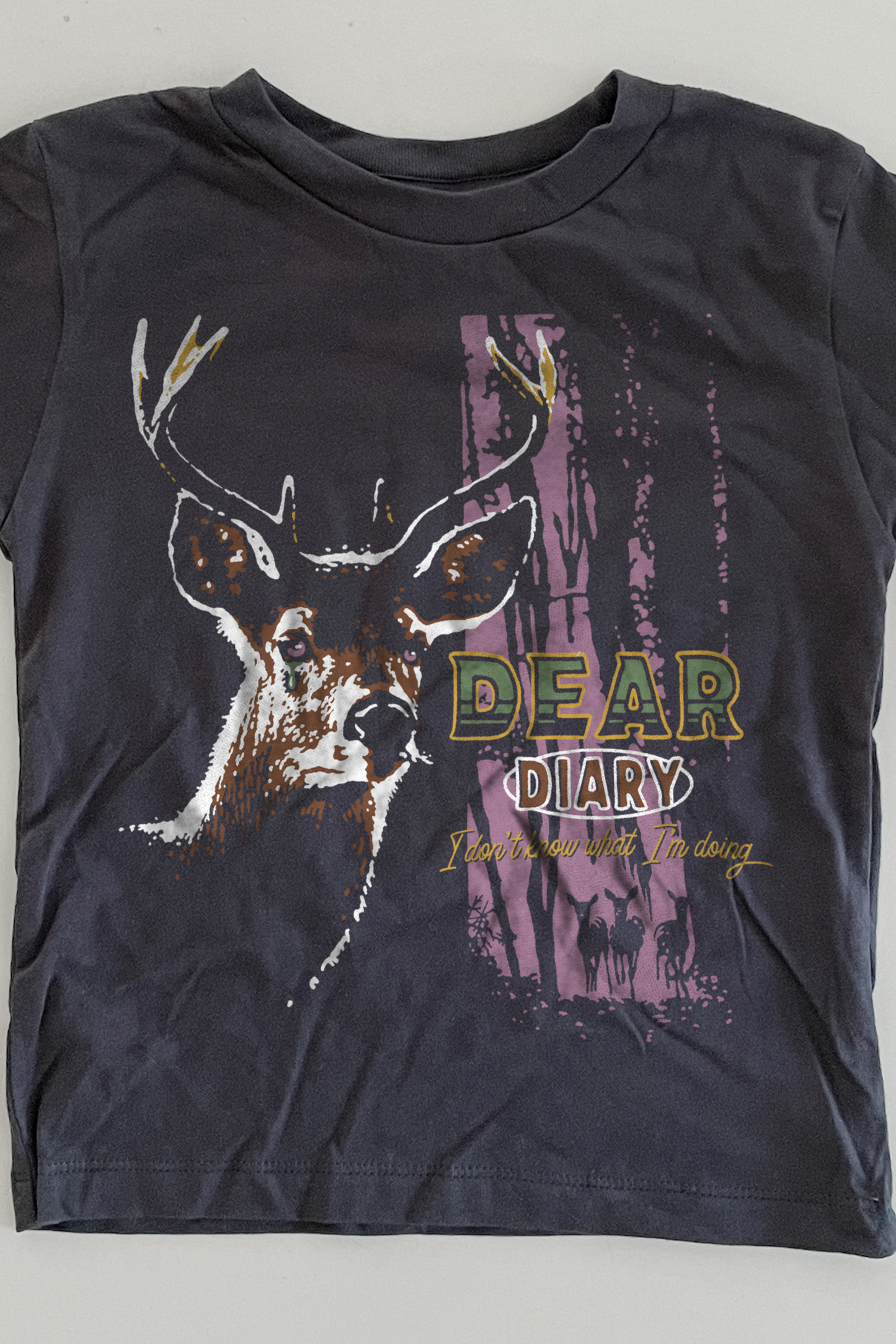 Dear Diary Toddler T-shirt