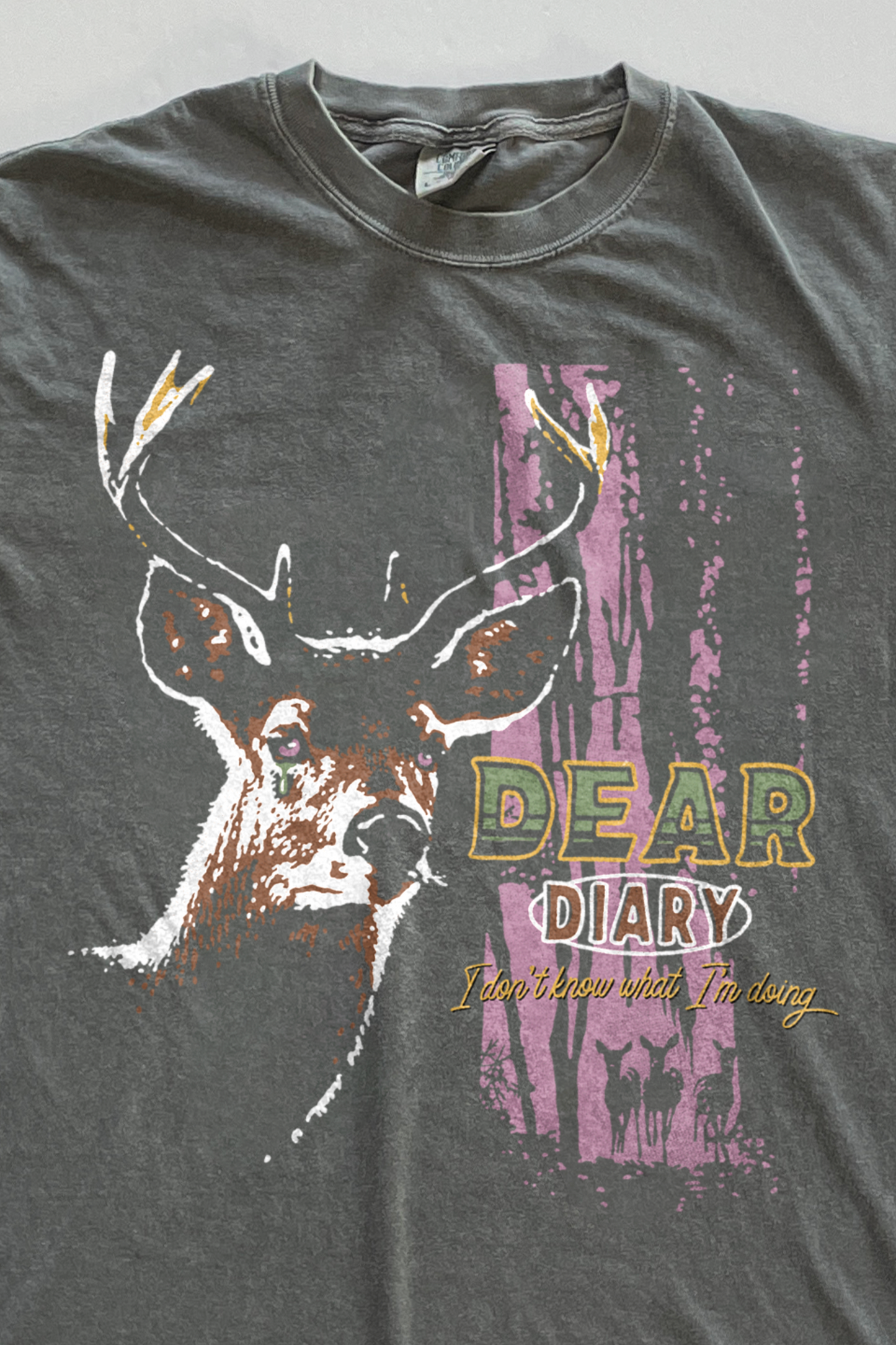 Dear Diary T-shirt